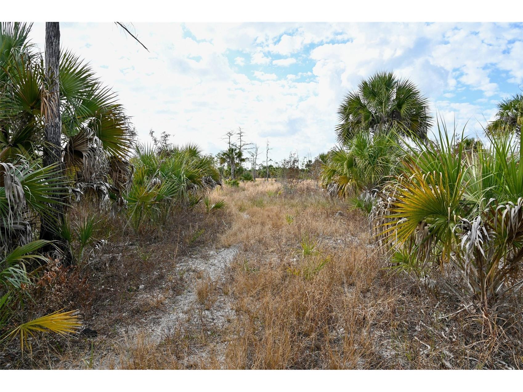 Black Burn Road Naples FL 34117 C7522769 image23