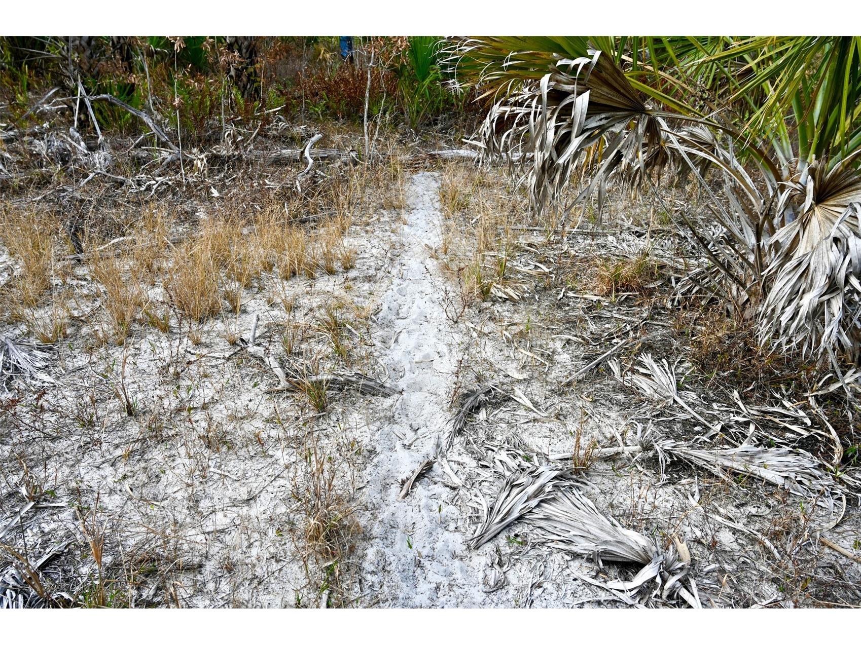 Black Burn Road Naples FL 34117 C7522769 image24