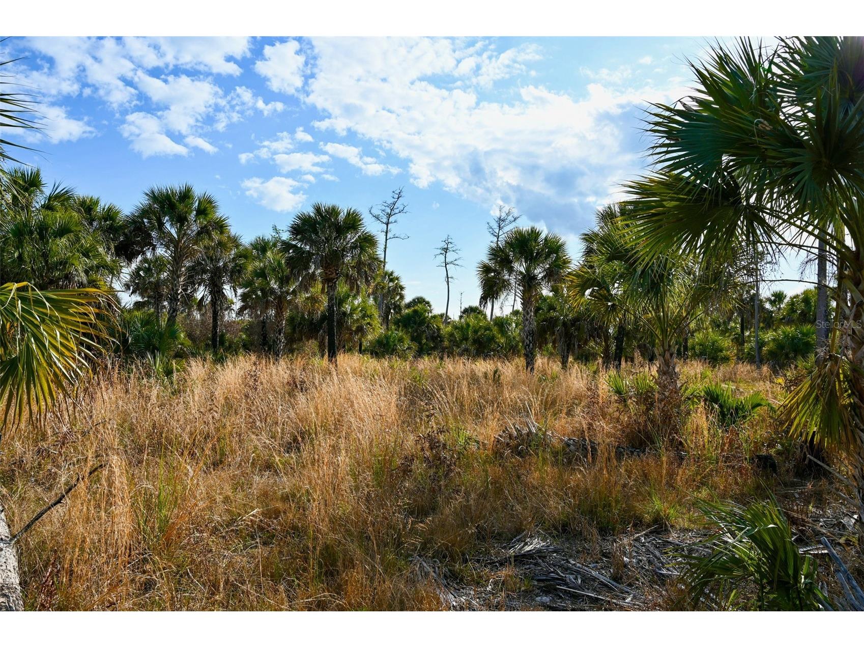 Black Burn Road Naples FL 34117 C7522769 image25