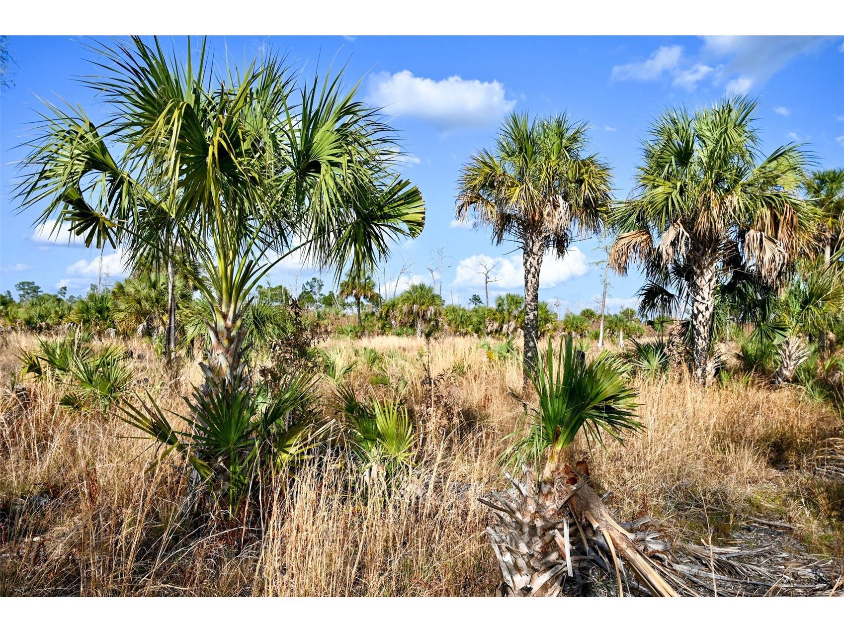 Black Burn Road Naples FL 34117 C7522769 image27