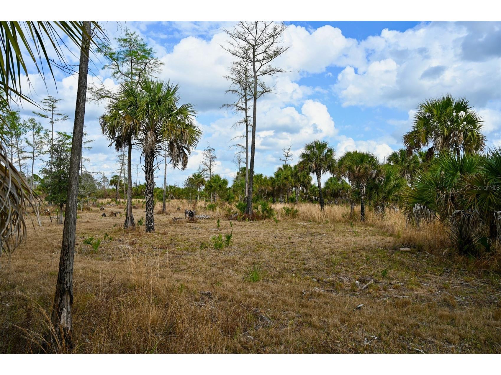 Black Burn Road Naples FL 34117 C7522769 image29