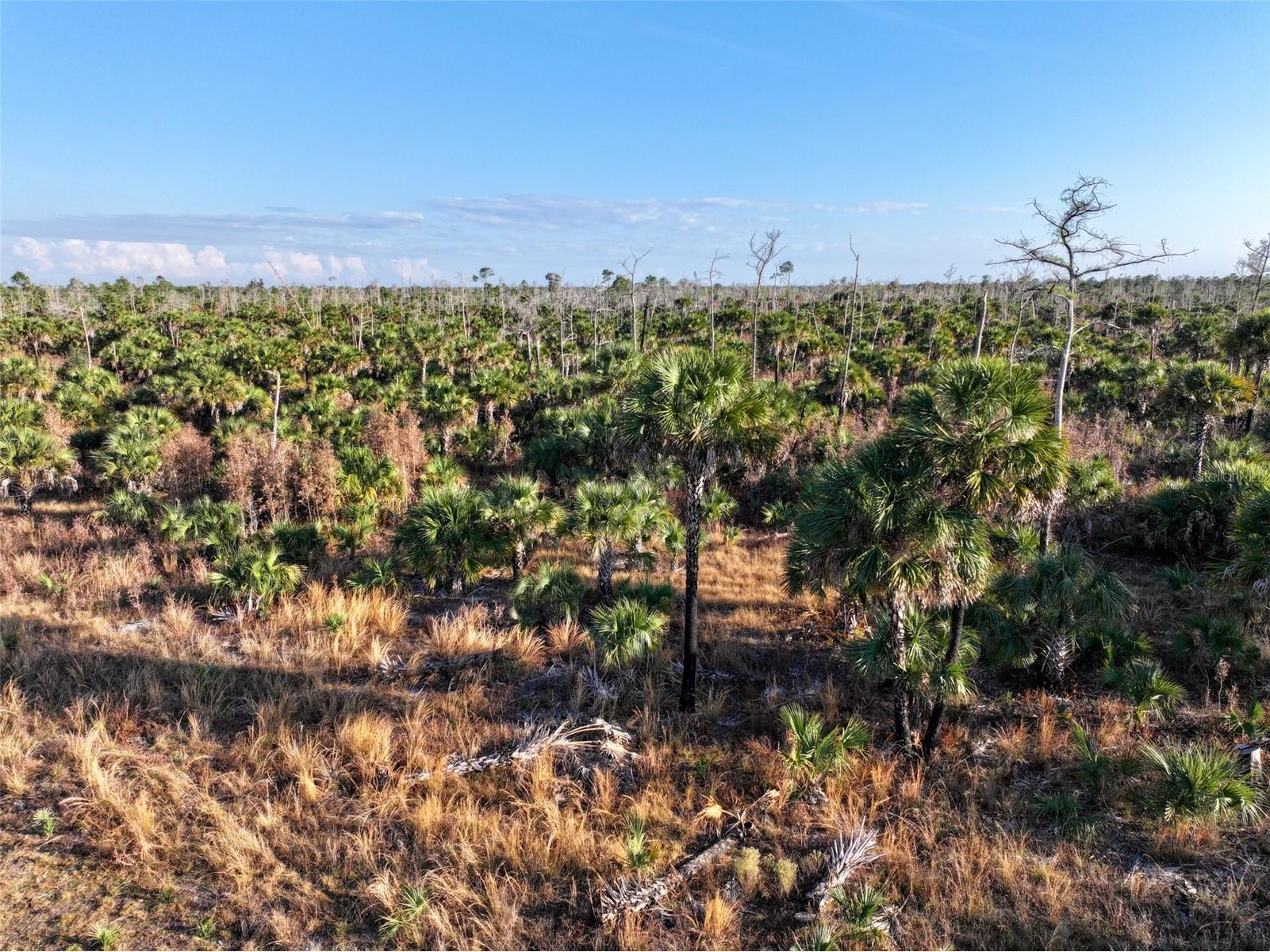 Black Burn Road Naples FL 34117 C7522769 image32
