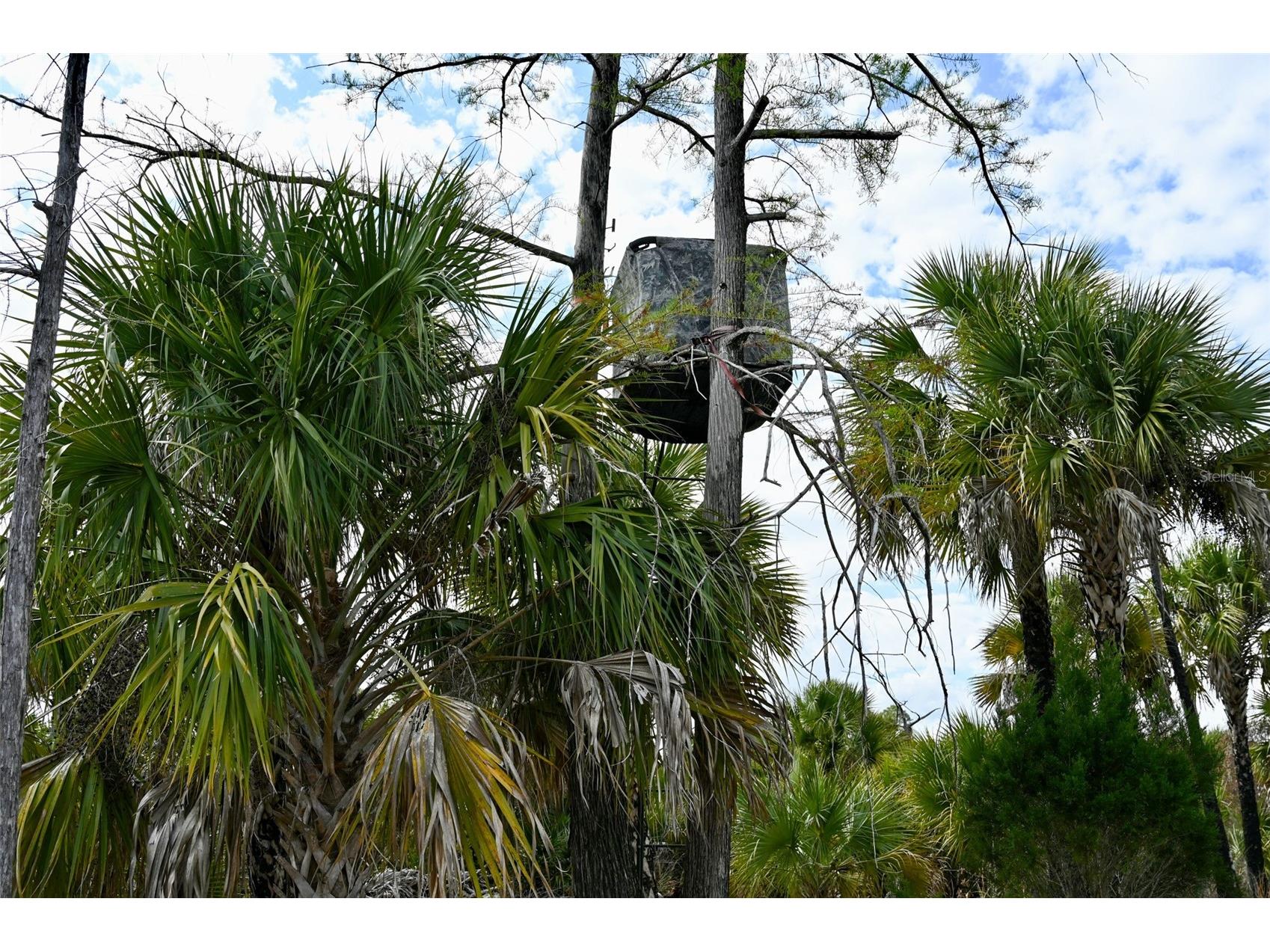 Black Burn Road Naples FL 34117 C7522769 image34