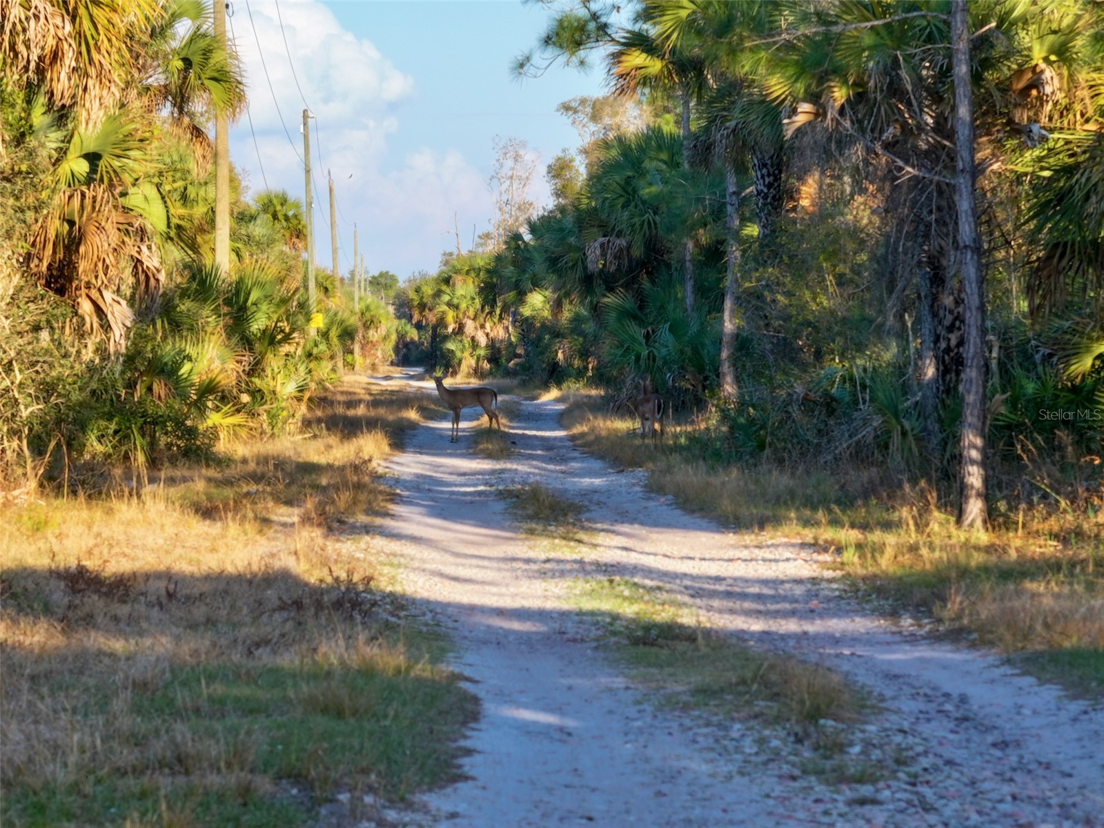 Black Burn Road Naples FL 34117 C7522769 image37