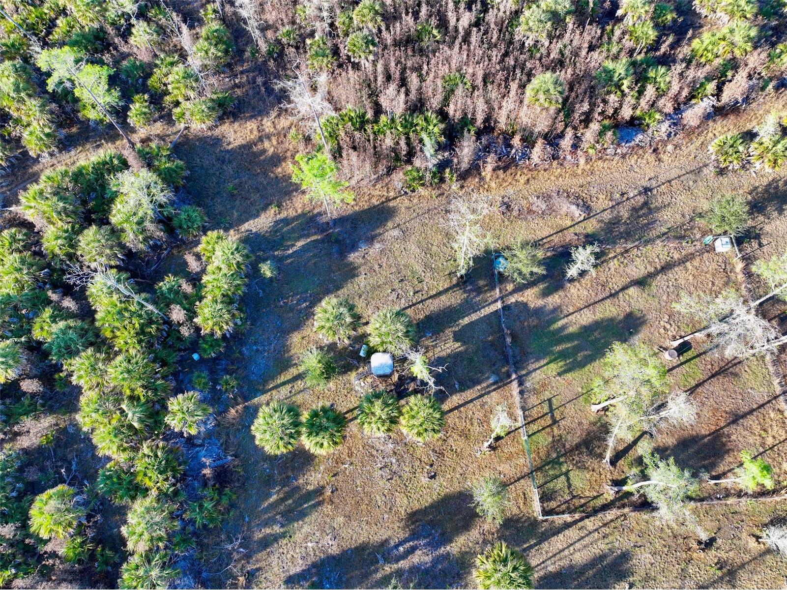Black Burn Road Naples FL 34117 C7522769 image6