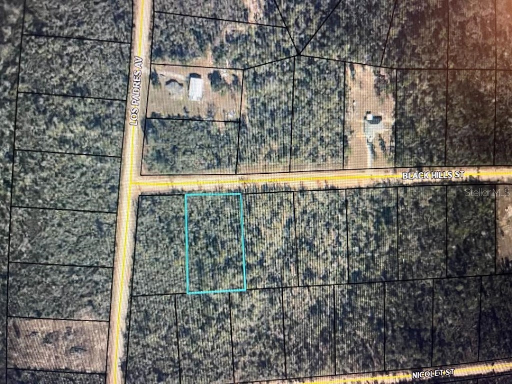 Black Hills Street Alford FL 32420 OM651761 image1