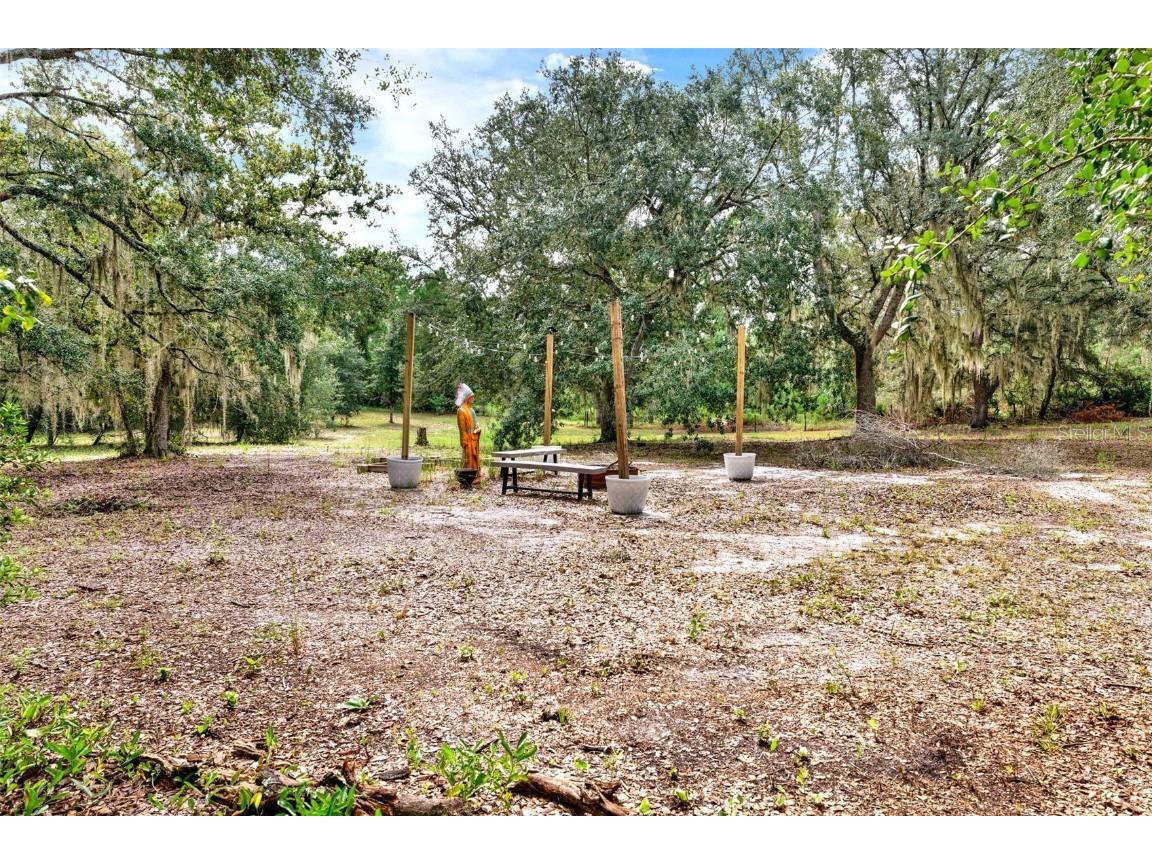 Blackwater Oaks Drive Eustis FL 32736 O6371166 image1