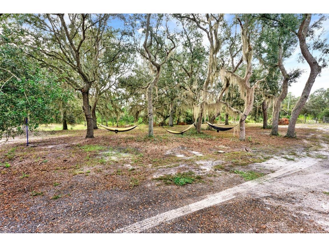 Blackwater Oaks Drive Eustis FL 32736 O6371166 image2