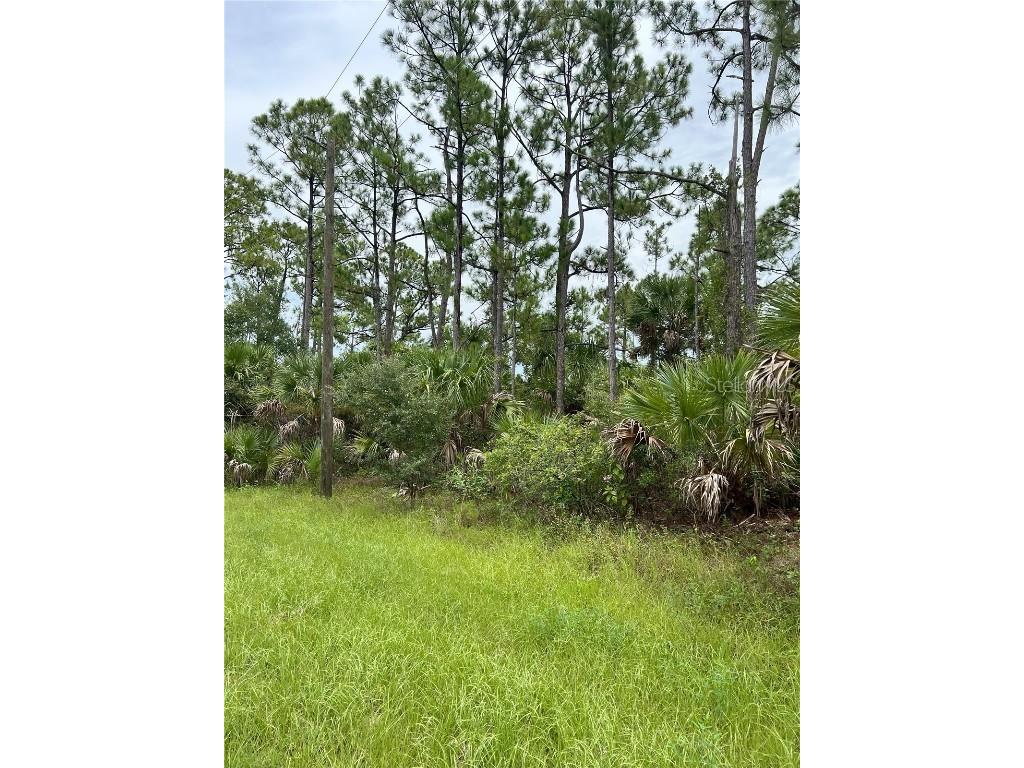 Blackwood Circle North Port FL 34288 A4663494 image2