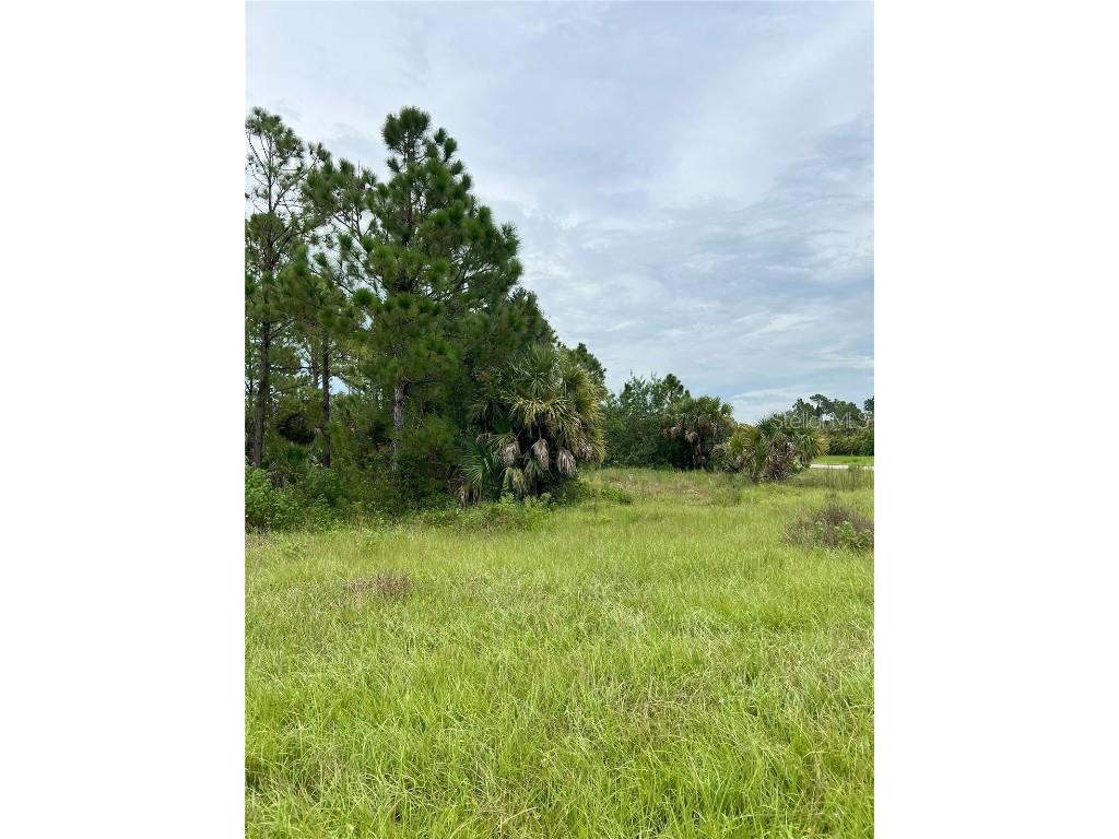 Blackwood Circle North Port FL 34288 A4663494 image4