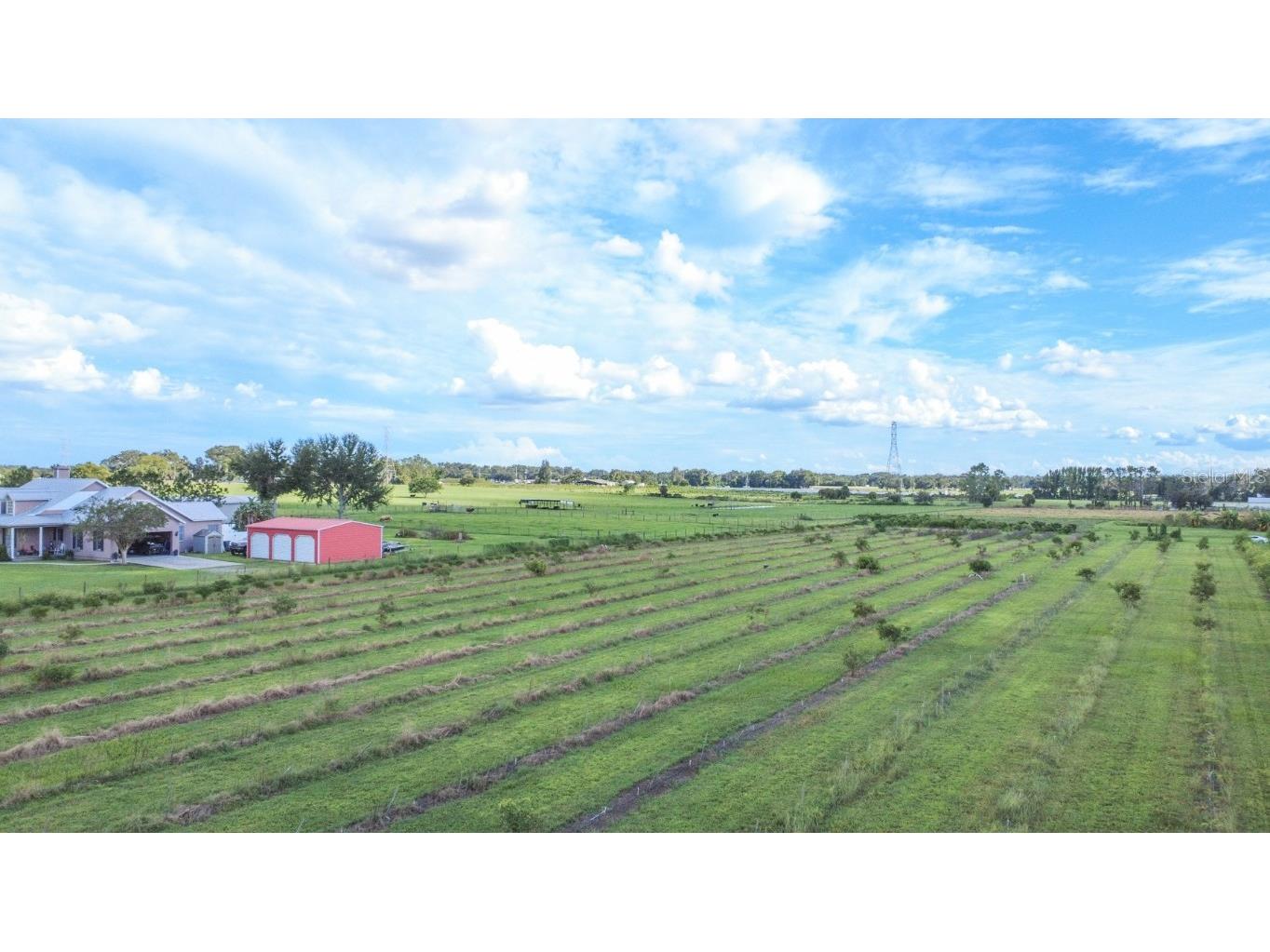 Blanton Acres Road Plant City FL 33565 TB8436154 image11