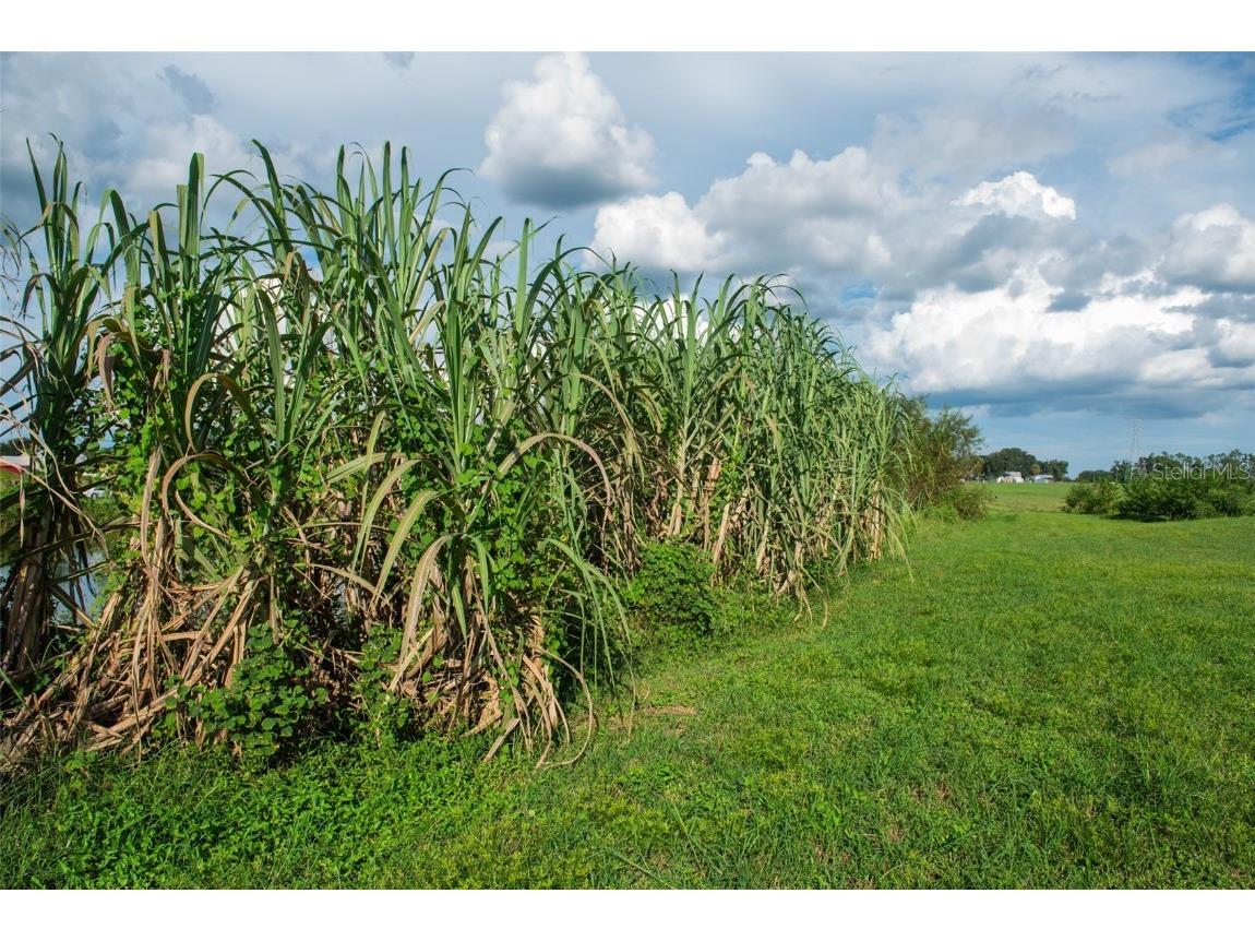 Blanton Acres Road Plant City FL 33565 TB8436154 image12