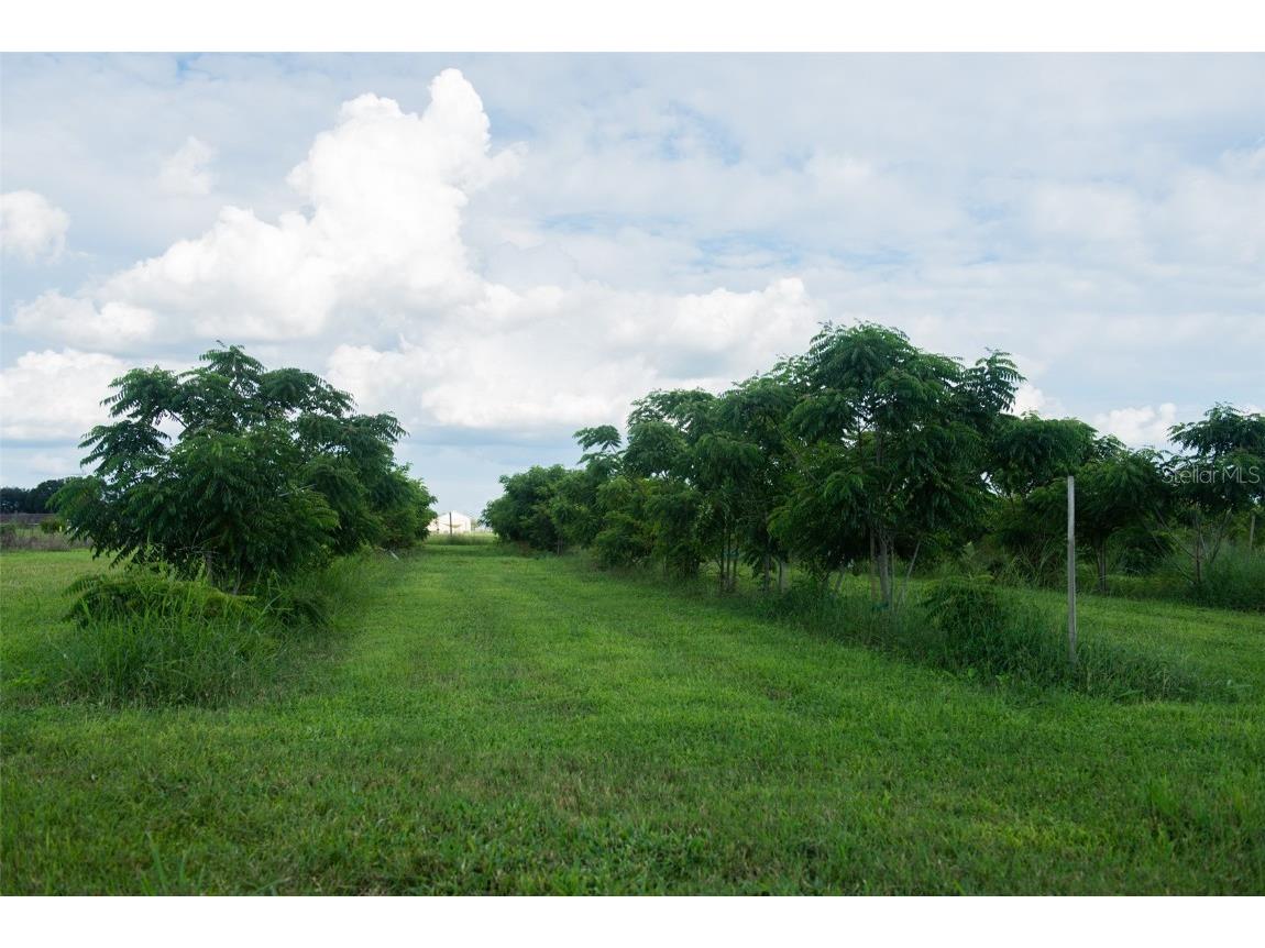 Blanton Acres Road Plant City FL 33565 TB8436154 image17