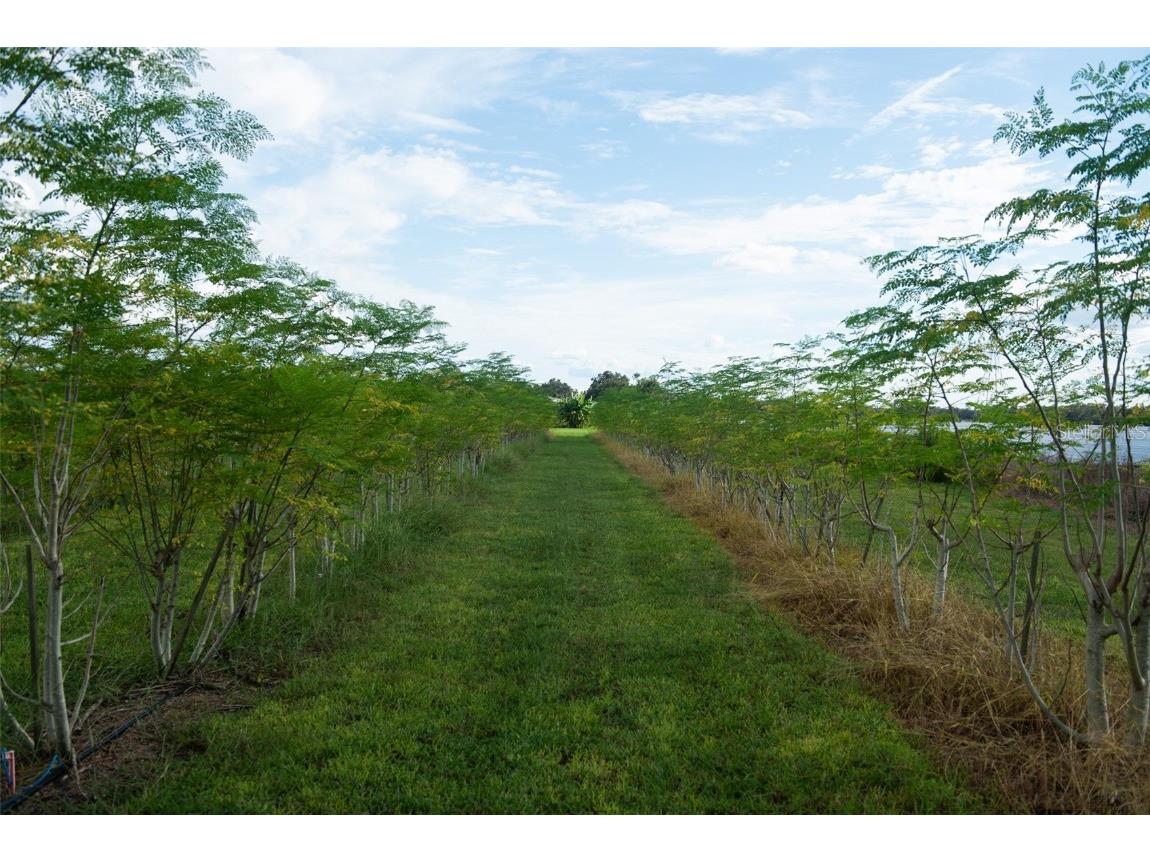 Blanton Acres Road Plant City FL 33565 TB8436154 image18