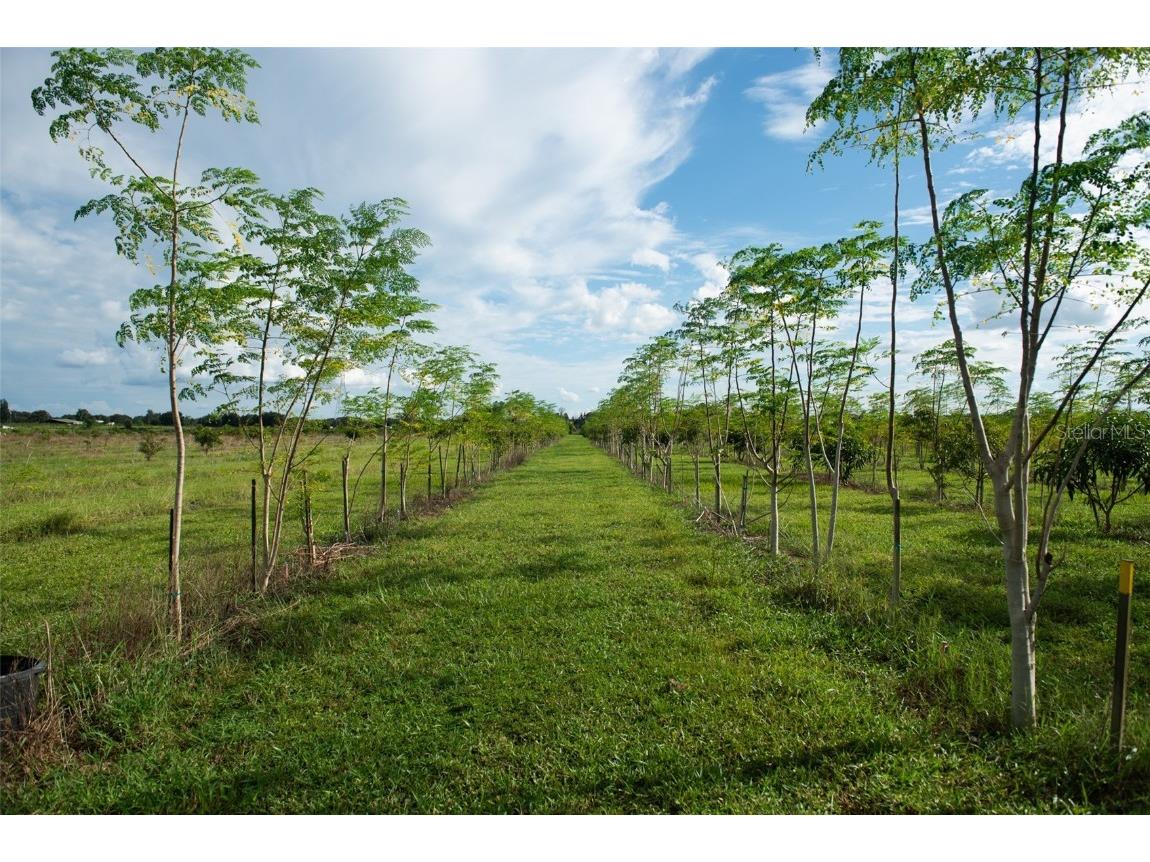 Blanton Acres Road Plant City FL 33565 TB8436154 image21