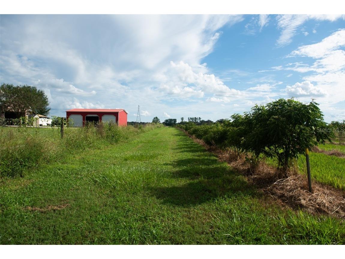 Blanton Acres Road Plant City FL 33565 TB8436154 image22