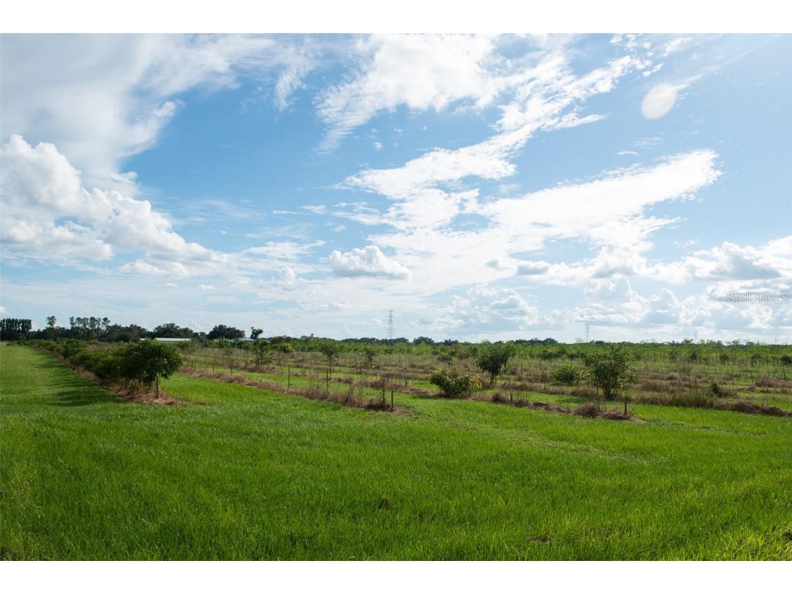 Blanton Acres Road Plant City FL 33565 TB8436154 image23