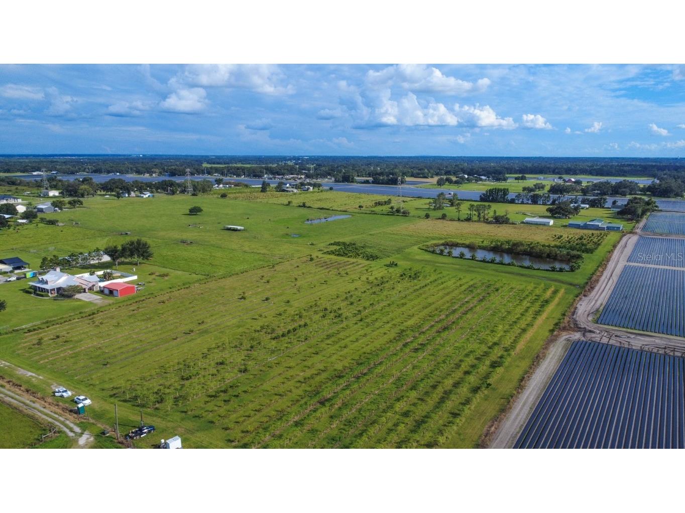 Blanton Acres Road Plant City FL 33565 TB8436154 image3