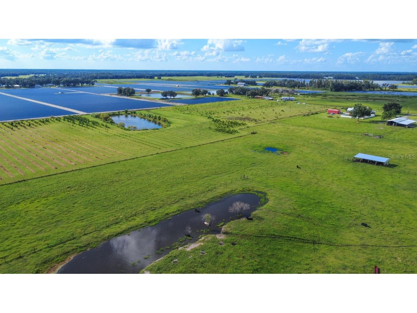 Blanton Acres Road Plant City FL 33565 TB8436154 image4