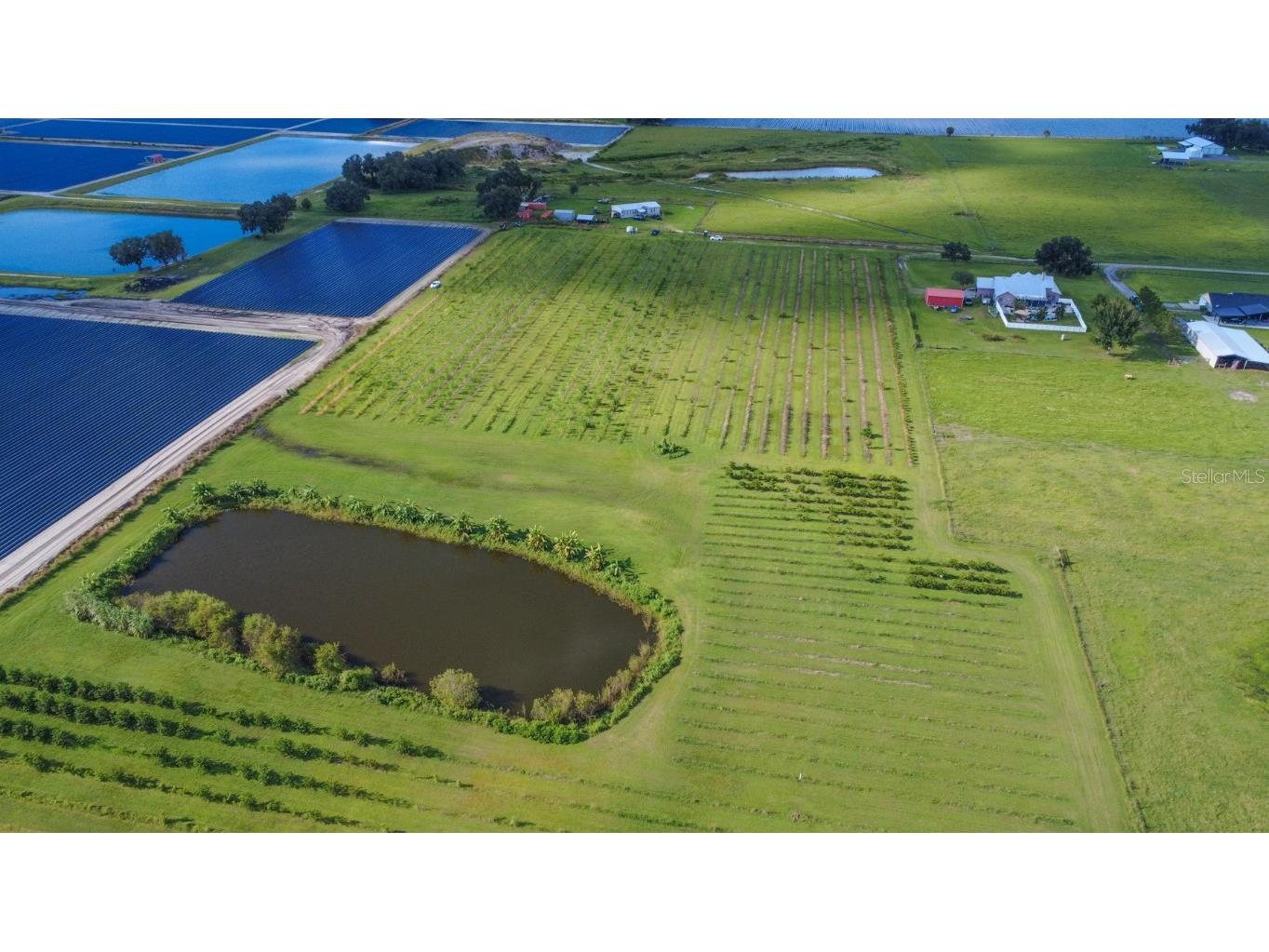 Blanton Acres Road Plant City FL 33565 TB8436154 image6