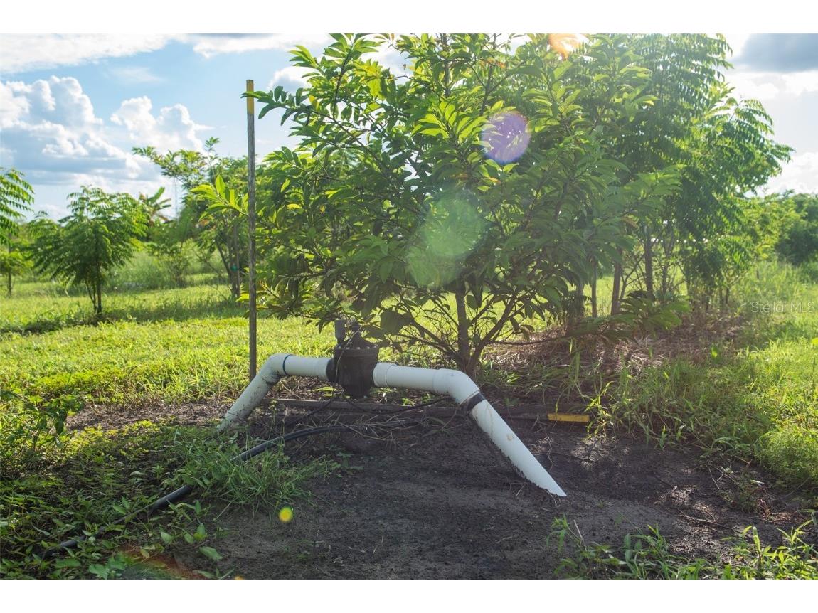 Blanton Acres Road Plant City FL 33565 TB8436154 image8