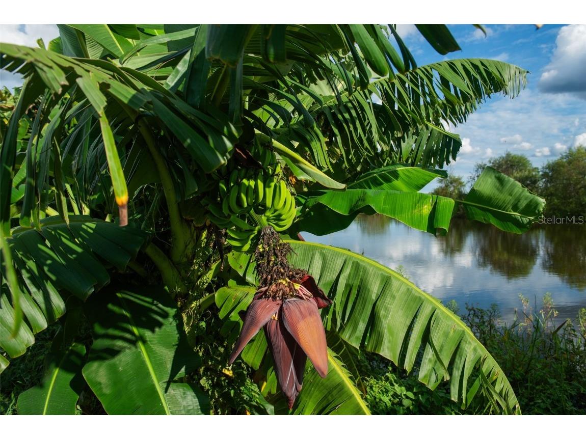 Blanton Acres Road Plant City FL 33565 TB8436154 image9