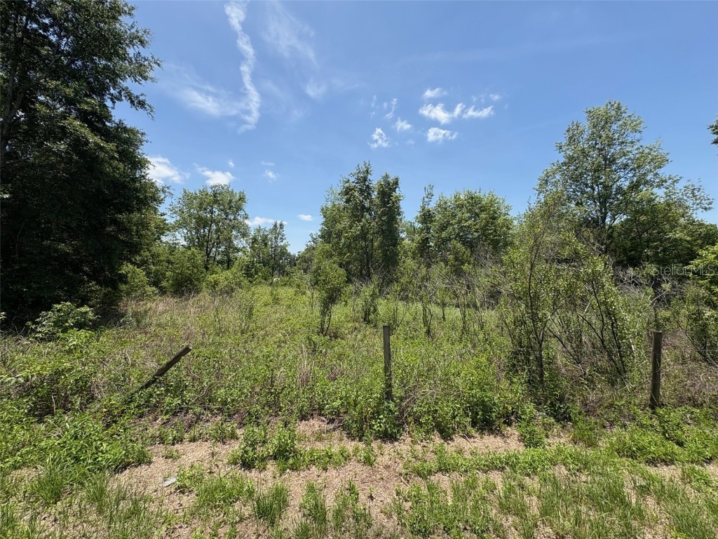 Blanton Road Dade City FL 33523 TB8387310 image1