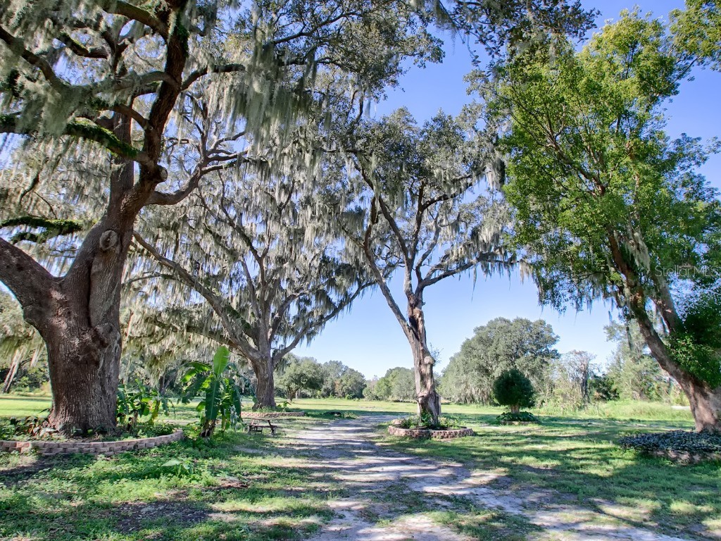 Bloomfield Avenue Yalaha FL 34797 O6161144 image1