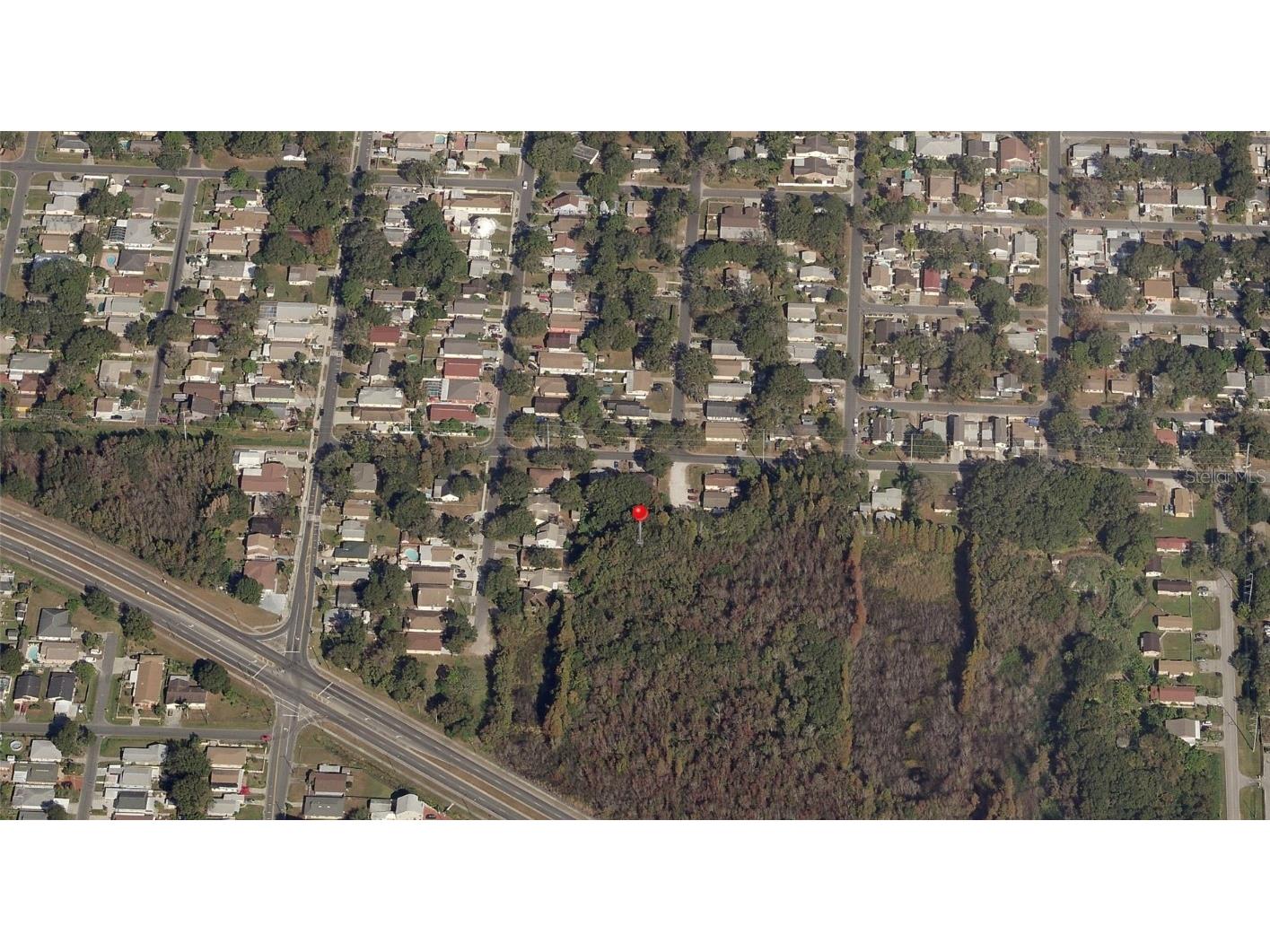 Blossom Avenue Tampa FL 33614 A4662508 image3