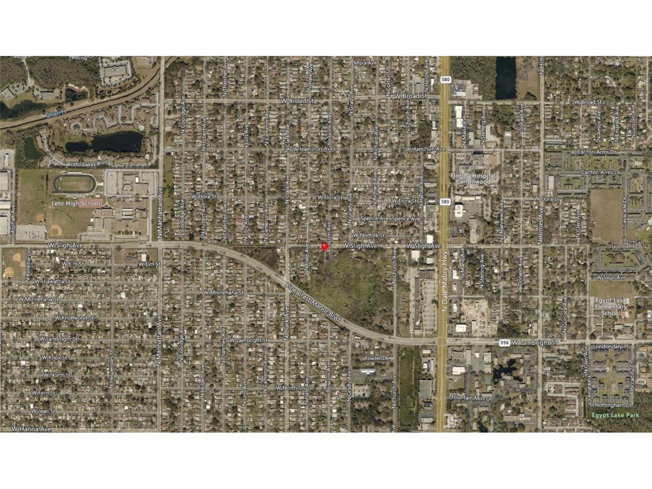 Blossom Avenue Tampa FL 33614 A4662508 image4