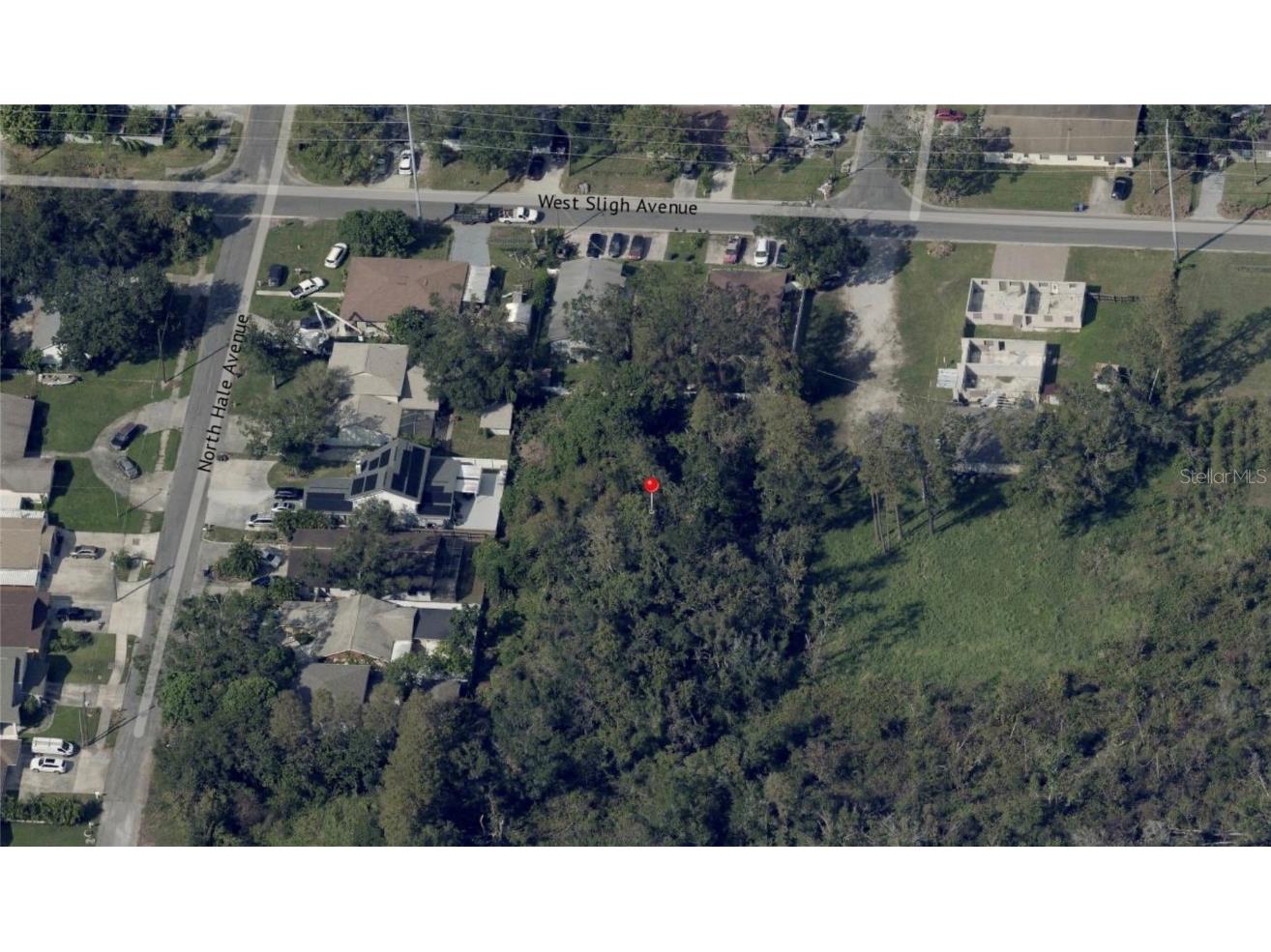 Blossom Avenue Tampa FL 33614 A4662508 image5