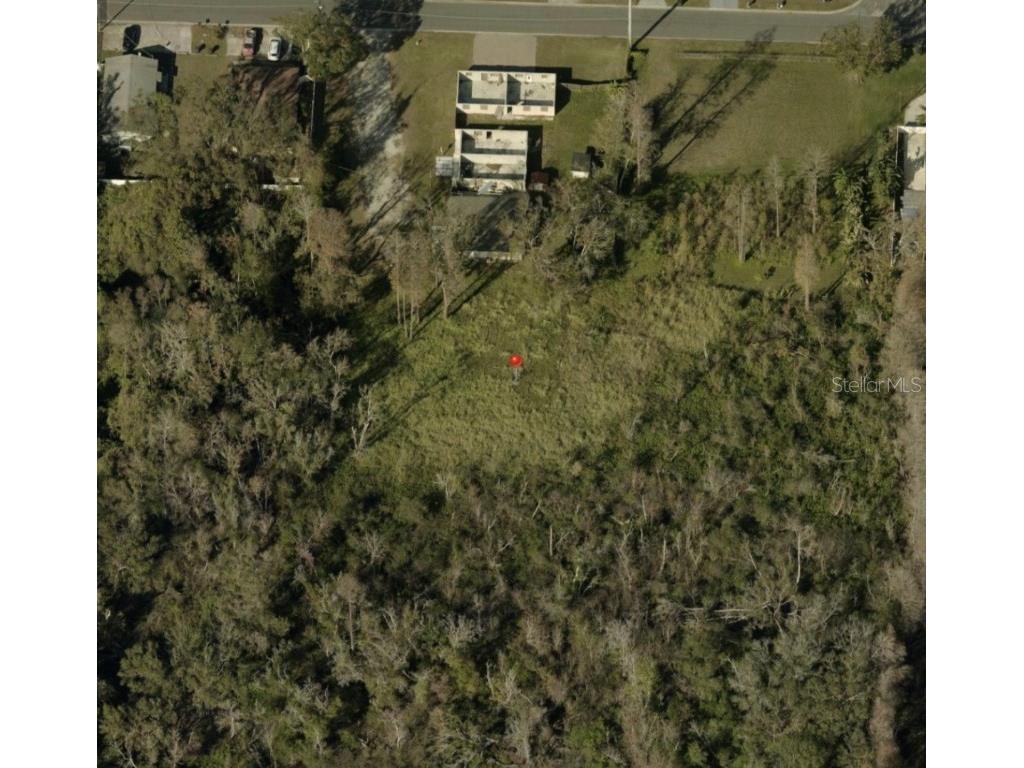 Blossom Avenue Tampa FL 33614 O6335073 image1