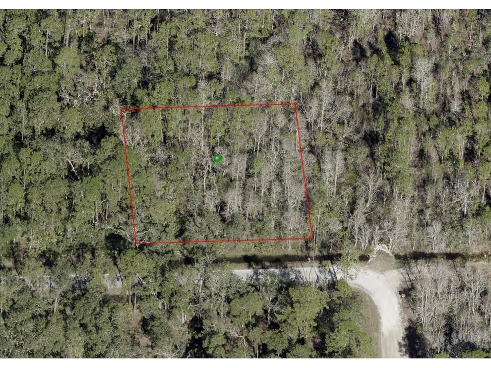 Blossom Road Deland FL 32724 V4932943 image1