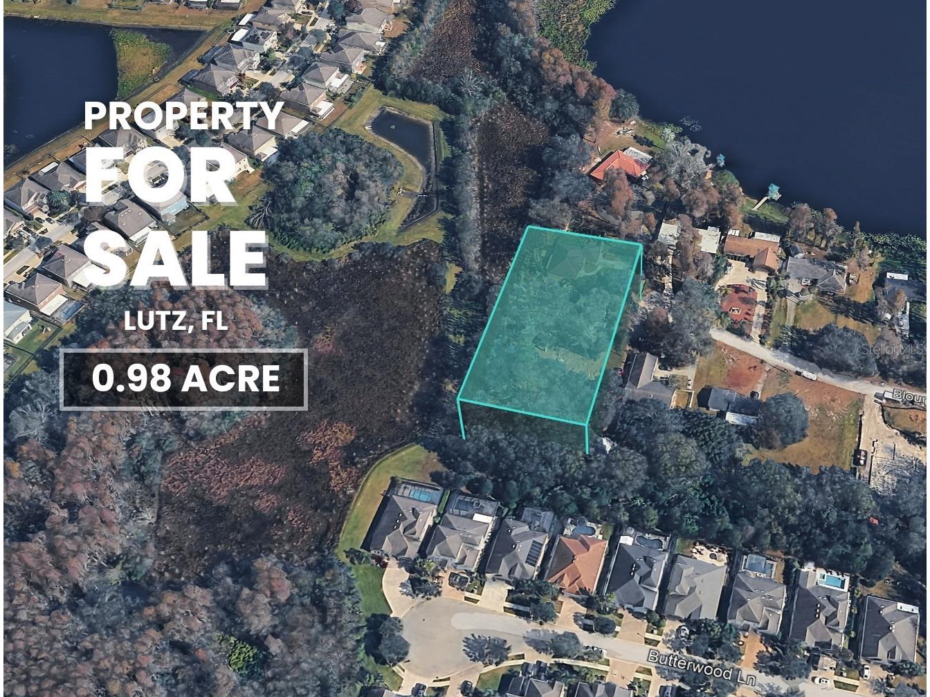 Blount Road Lutz FL 33558 TB8472473 image1