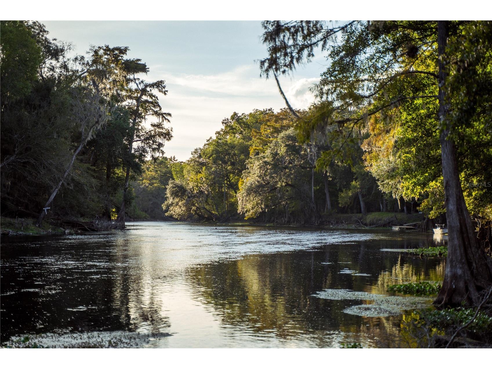 Blue Bird Court SW Fort White FL 32038 - SANTA FE RIVER G5108370 image3