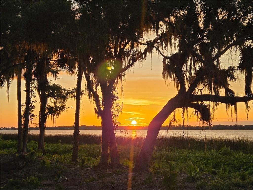 Blue Heron Circle #LOT K-10 Tavares FL 32778 - LAKE DORA TB8412848 image4