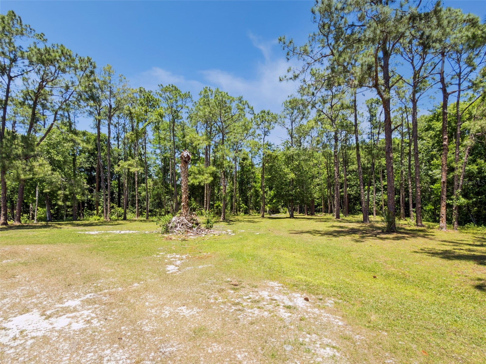 Blue Jay Way Davenport FL 33896 G5112274 image8