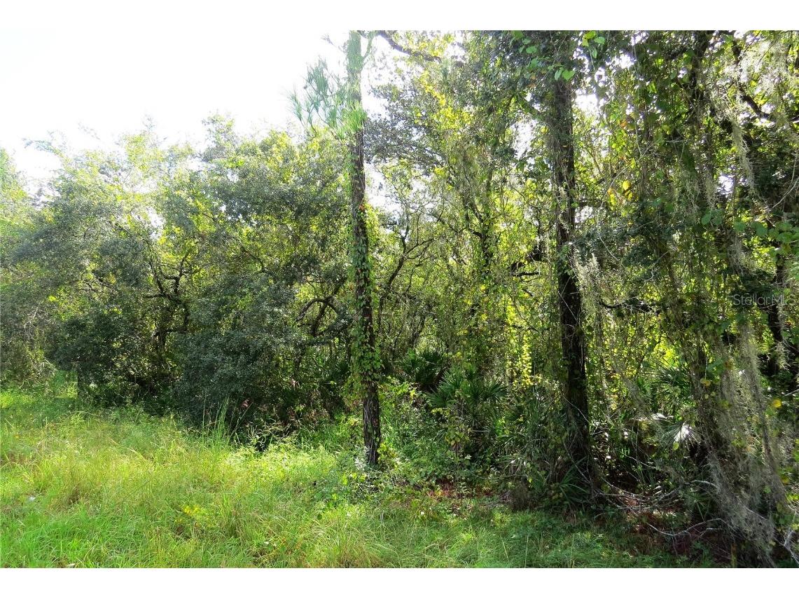 Blue Jordan Road Frostproof FL 33843 K4902275 image1