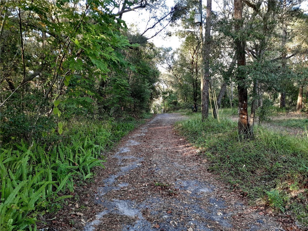 Blue Ridge Avenue Orange City FL 32763 V4927387 image3