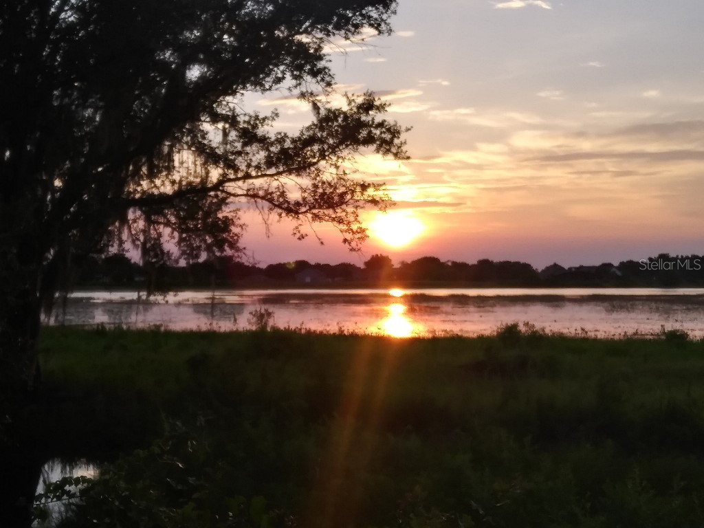 Blue Smoke Trail Clermont FL 34715 T3496649 image1