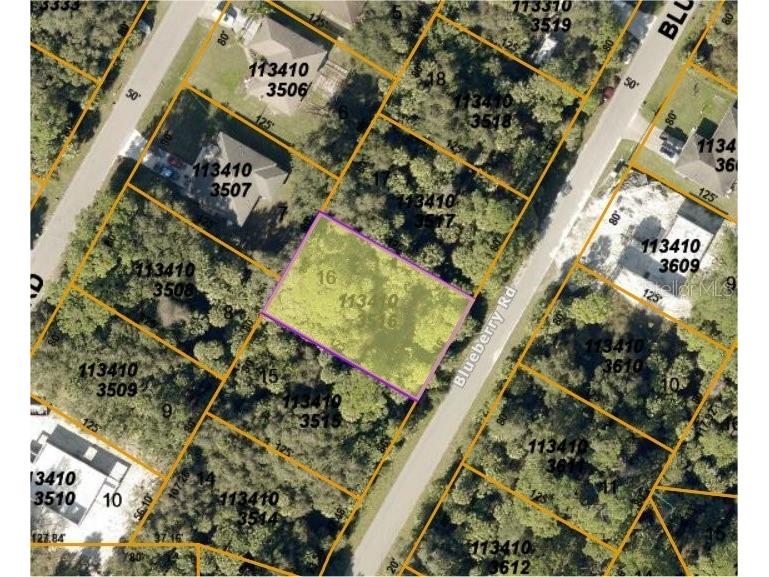 Blueberry Road North Port FL 34288 C7465935 image1