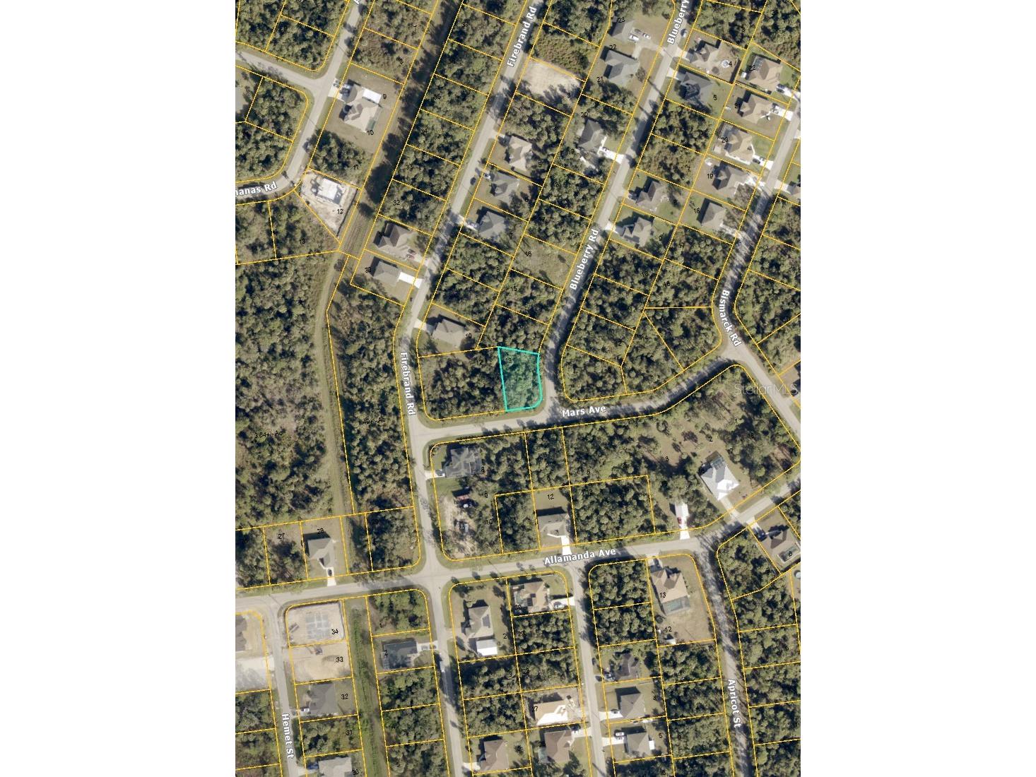Blueberry Road North Port FL 34288 A4681714 image4