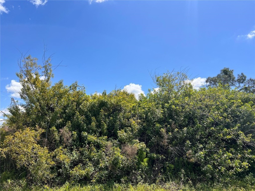 Blueleaf Drive North Port FL 34288 A4661582 image2