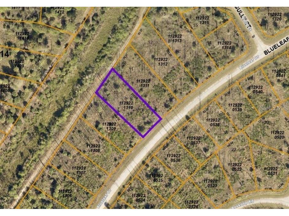 Blueleaf Drive North Port FL 34288 A4661582 image3