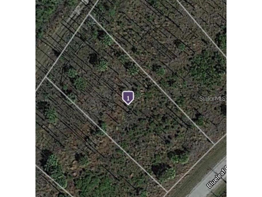 Blueleaf Drive North Port FL 34288 A4661582 image4