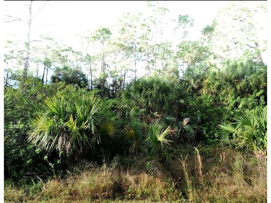 Blueleaf Drive North Port FL 34288 C7513432 image2