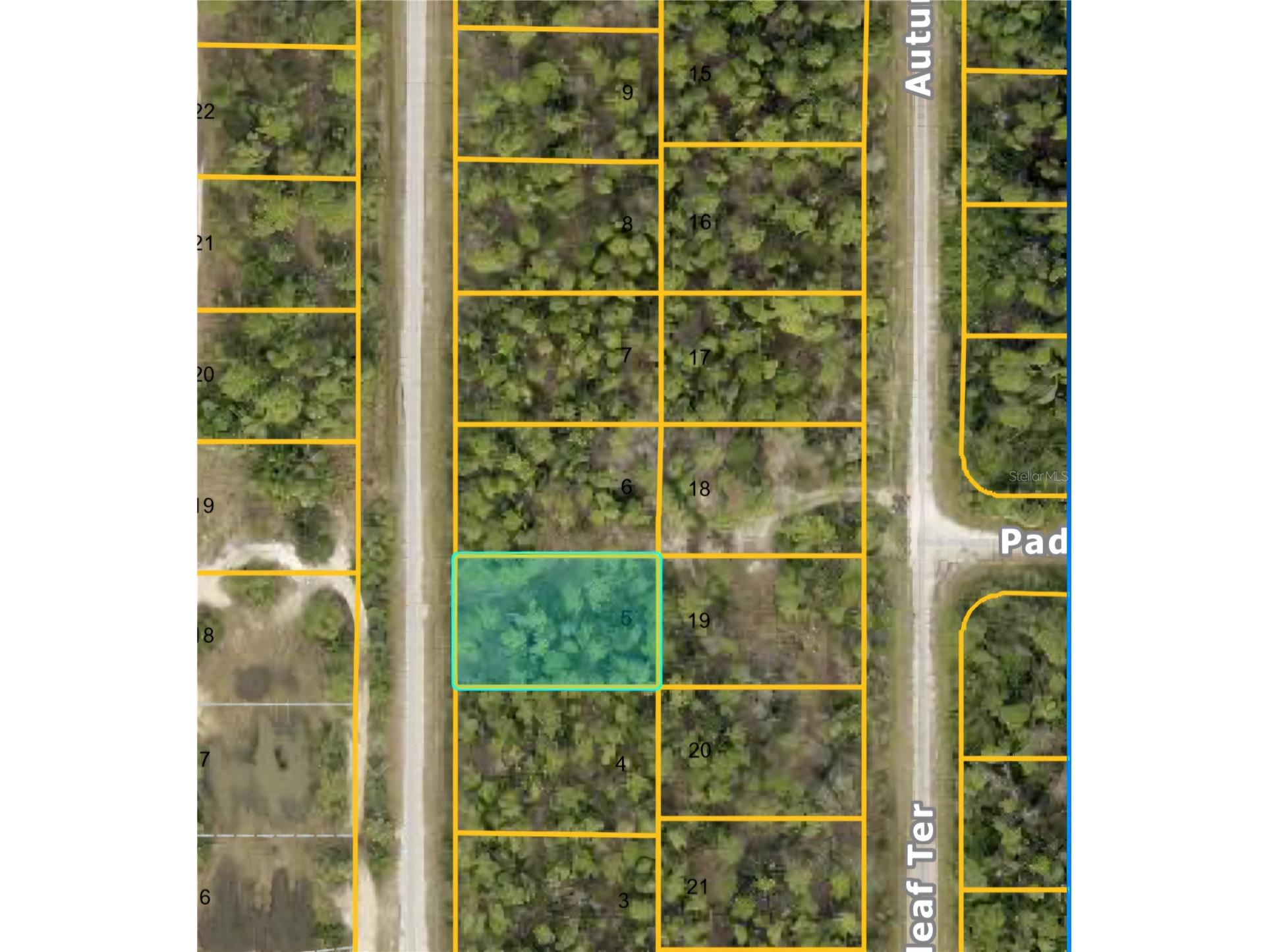 Blueleaf Drive North Port FL 34288 C7521980 image2