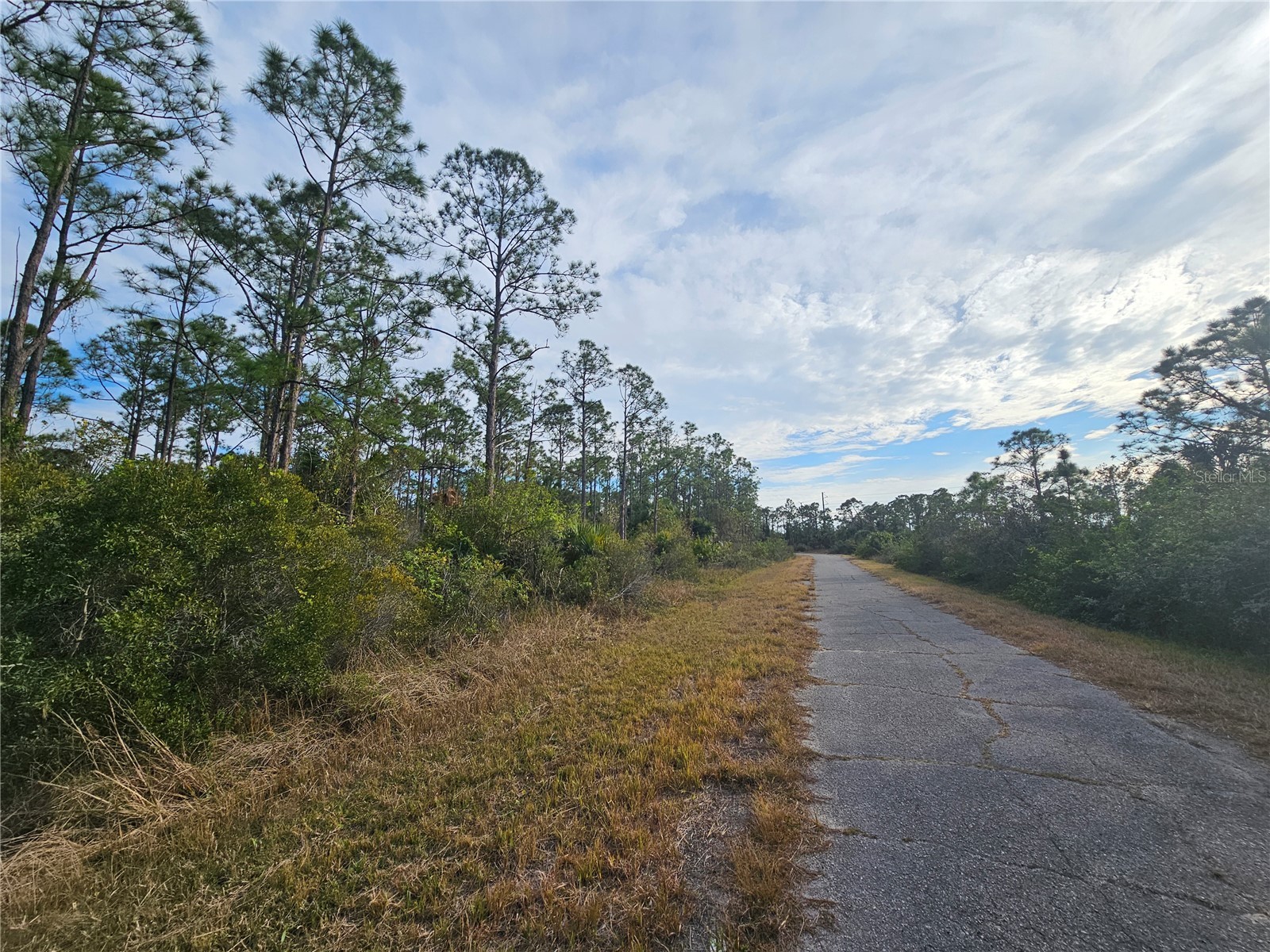 Blueleaf Drive North Port FL 34288 C7521980 image4