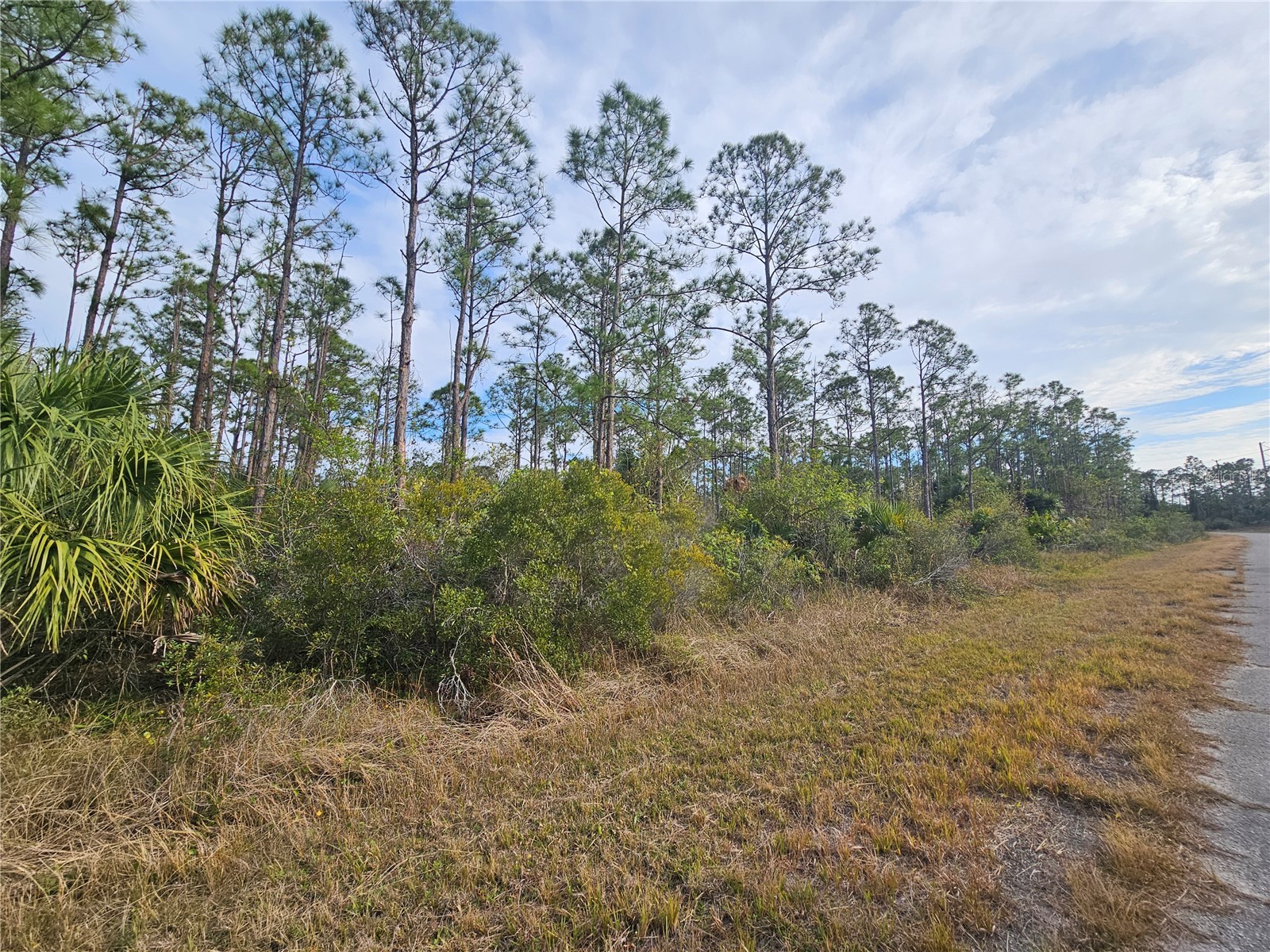 Blueleaf Drive North Port FL 34288 C7521980 image5