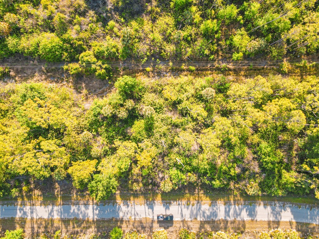 Blueleaf Drive North Port FL 34288 C7524976 image10